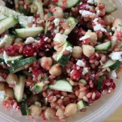 Thanksgiving Leftovers Recipe: Wheatberry Cranberry Salad