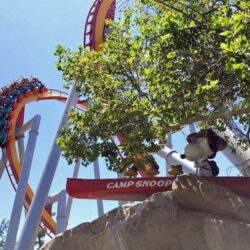 Happy 30 Years Camp Snoopy!