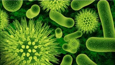 germs or bacteria 852x480