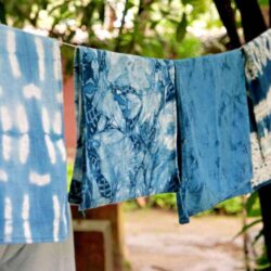 El Salvador Indigo Farm and a Tale of Blue Gold