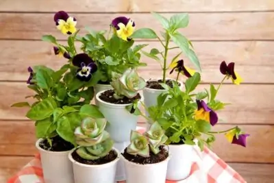 k cup planters 1