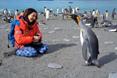 king penguin one on one