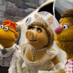 Muppets Most Wanted: Do Kermit and Miss Piggy Finally Tie the Knot?