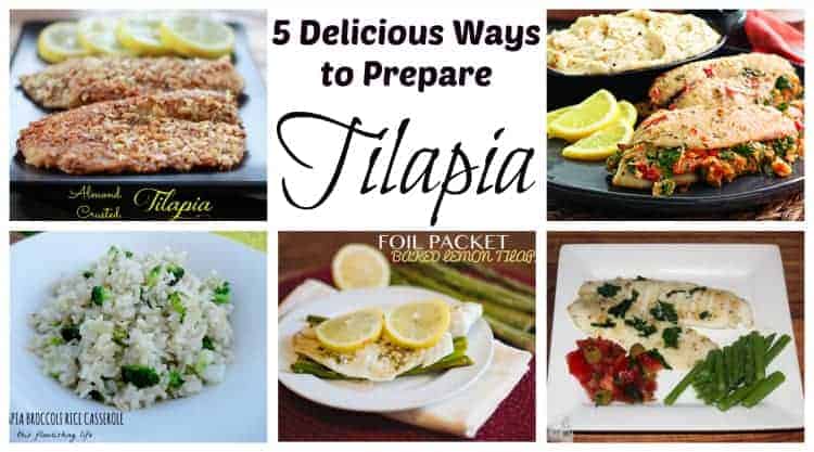 5 Delicious Ways To Prepare Tilapia