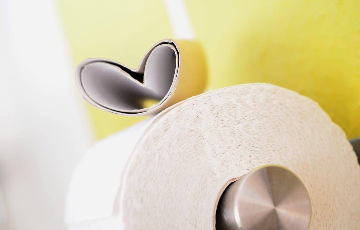 toilet paper roll heart