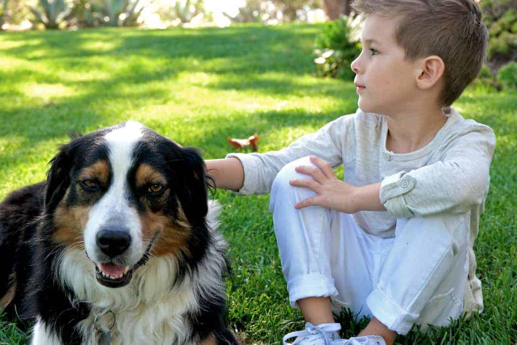 a boy and a dog