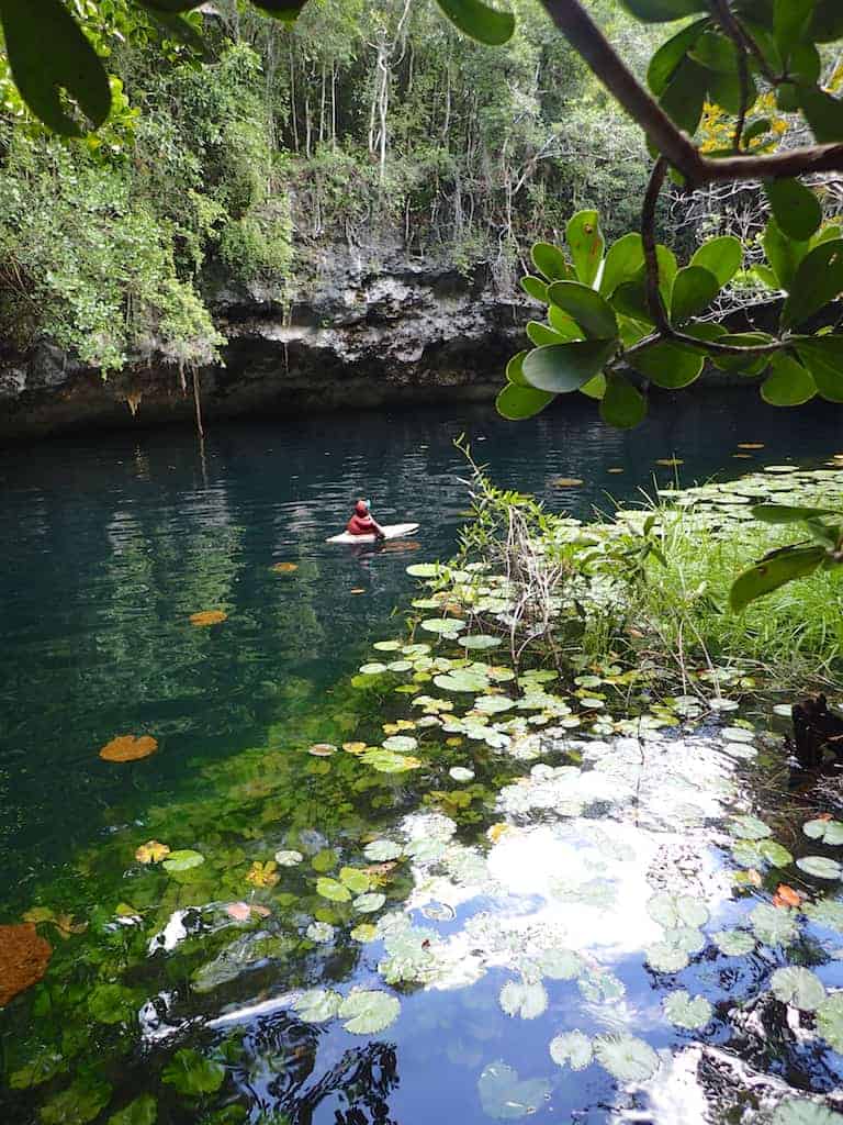 xenotes cenotes in mexico